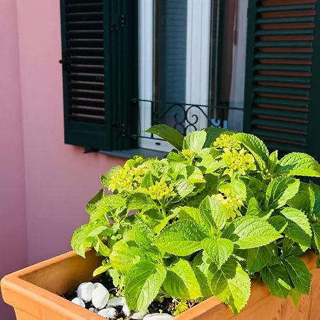 La Maison Rose Guest house Maiori