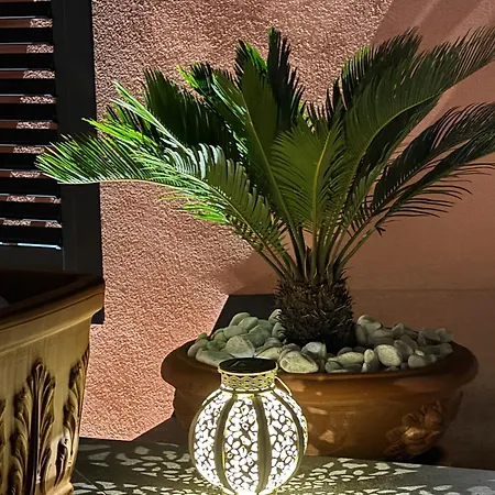 Гостевой дом La Maison Rose